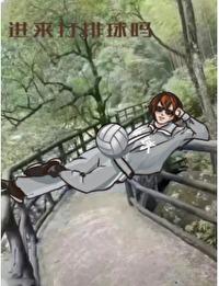 综漫排球排球 综漫排球排球