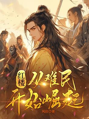 从红楼开始拯救名著顶点