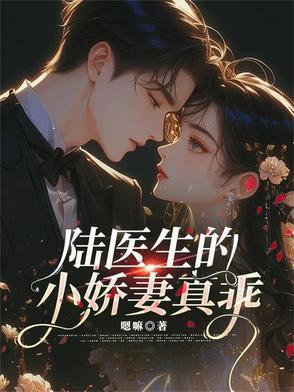 陆医生言情 陆医生言情