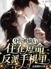 身份被偷后住在短命反派手机里免费阅读 身份被偷后住在短命反派手机里免费阅读